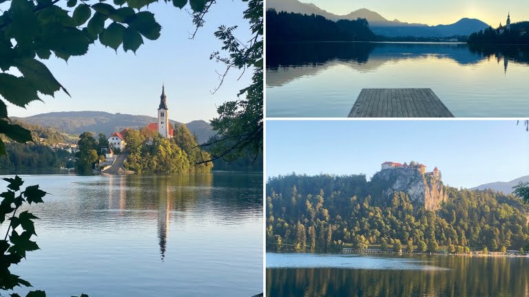 Director Zakonjsek at Bled Strategic Forum