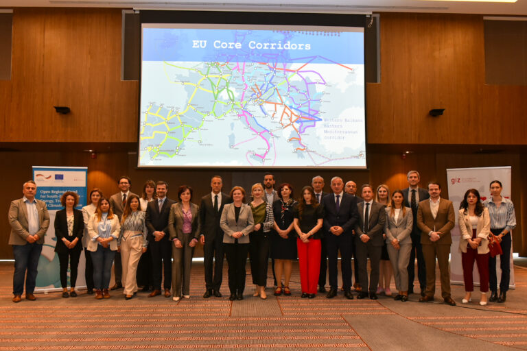 Western Balkan Green Parliamentary Groups Meet Transport Community to Discuss Sustainable Mobility and Green Agenda